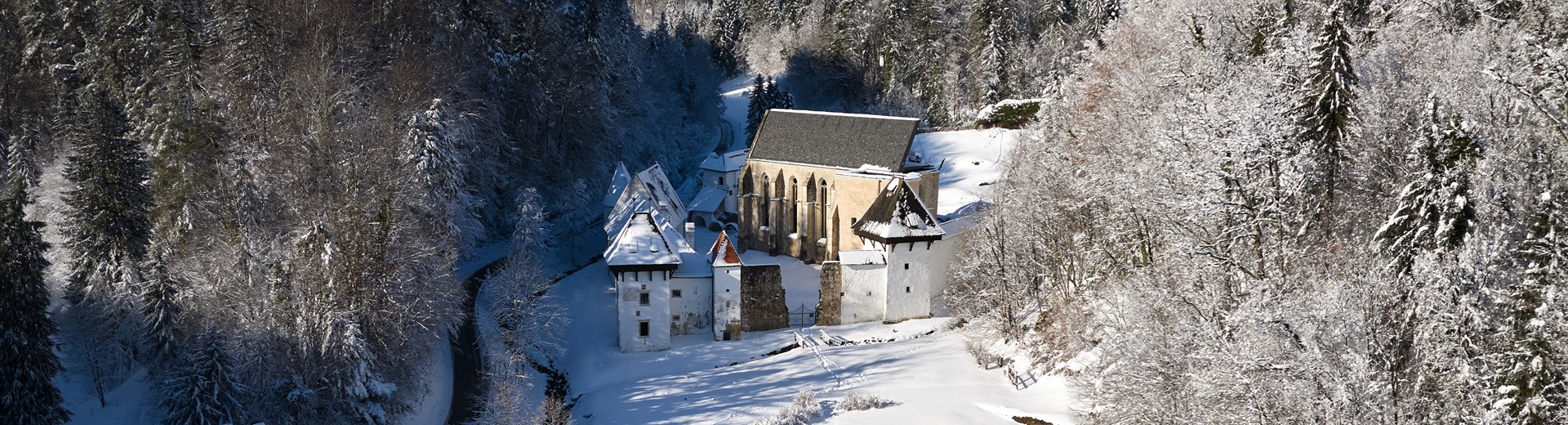 Žička kartuzija-pozimi