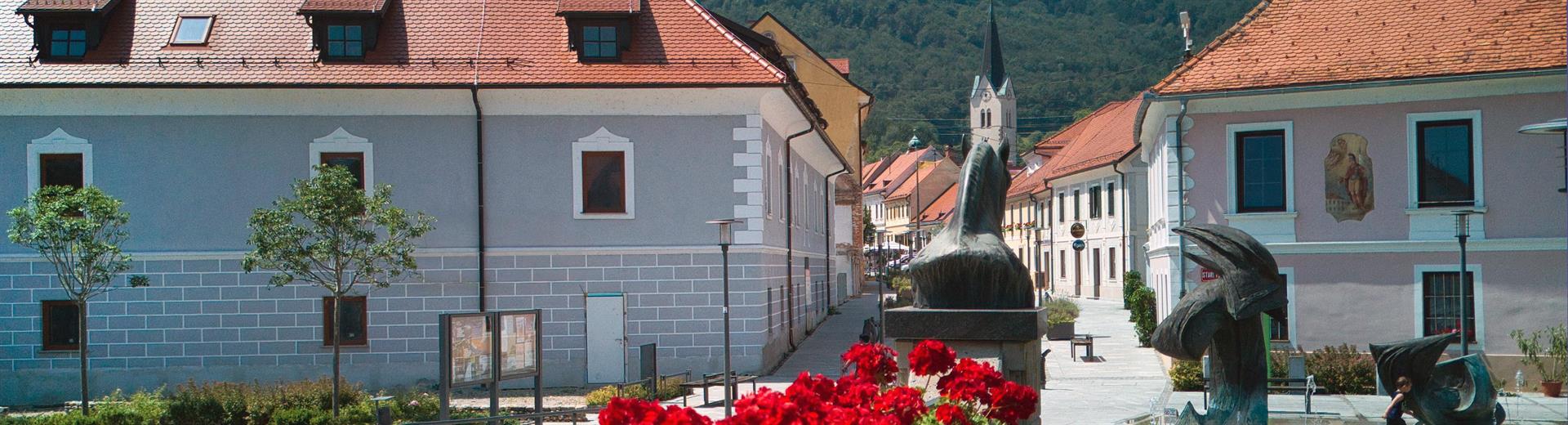 Stari trg