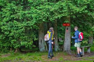 Z avtobusom se radi peljejo številni pohodniki; Vir: www.slovenia.info, Jošt Gantar