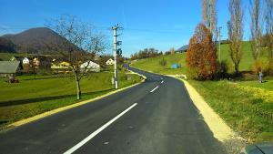 Regionalna cesta Slovenske Konjice-Žiče v naselju Žiče