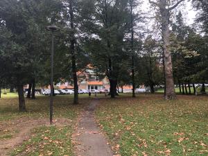 IMG-1387