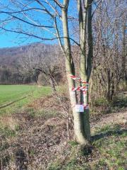 SAVE_20200401_092648