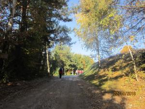 IMG_3957_m