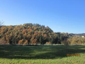 IMG_3960_m
