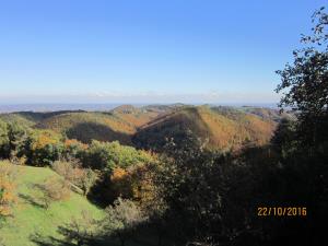 IMG_3986_m