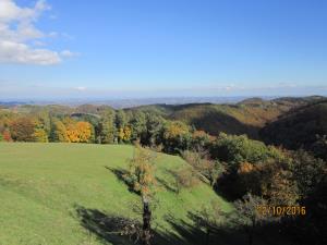 IMG_3987_m