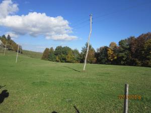 IMG_3991_m