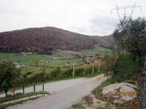 IMG_4081_m