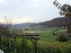 IMG_4086_m