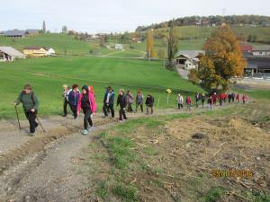IMG_4111_m