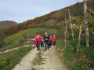 IMG_4139_m