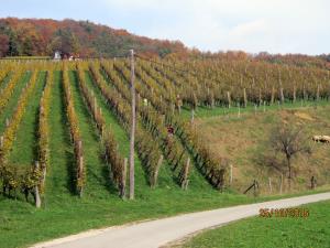 IMG_4161_m