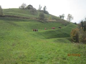 IMG_4171_m
