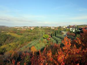 IMG_4367_m