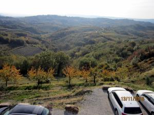 IMG_4373_m