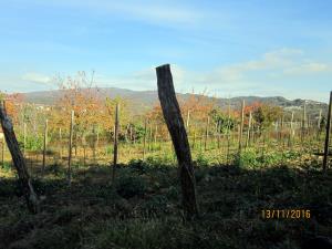IMG_4379_m