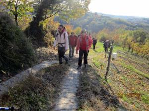 IMG_4380_m