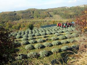 IMG_4382_m