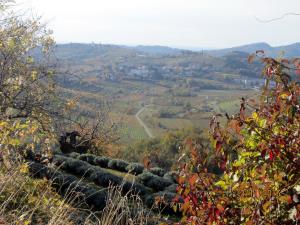 IMG_4383_m