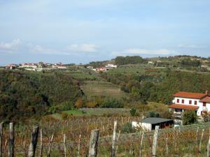 IMG_4387_m