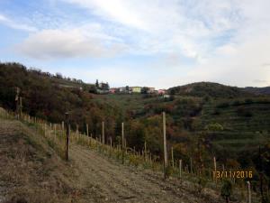 IMG_4398_m
