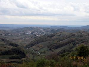 IMG_4401_m