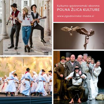 21-06-28-ZZMS-KULTURNI-ABONMA-BANNERJ-social-V3