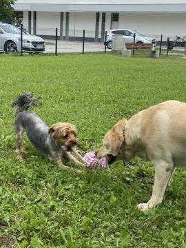 IMG-1aaa8c0127e29f61a8e2832de3a4335b-V