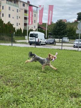 IMG-44af9b414b1fa93d77a3316d1ac79517-V