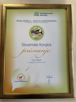 3. mesto v kategoriji srednja mesta