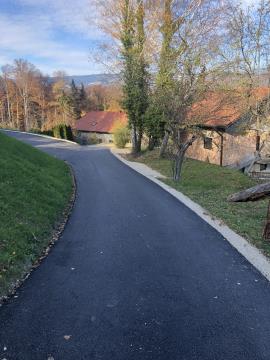 zeče1
